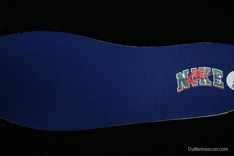 Nike SB Dunk Low SB Skateboarding Shoes - FQ6849-141