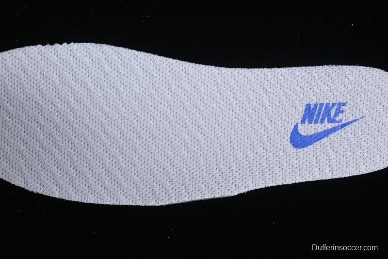 Nike Dunk Low SB Skateboarding Shoes - FD2562-300