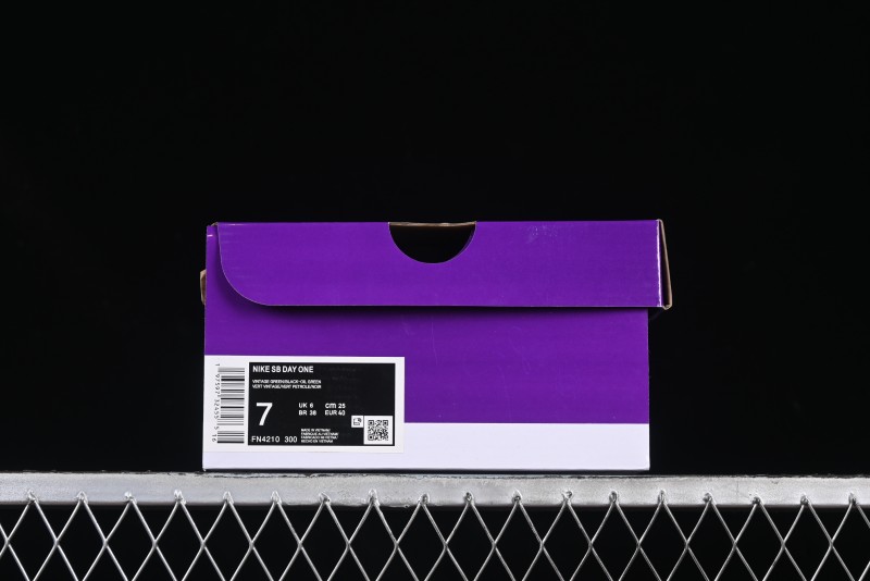 Nike SB Day One Low Top Casual Skate Shoes with Air Zoom Cushion - FN4210-300