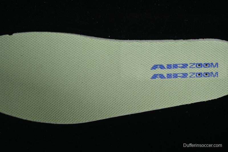 Nike SB Day One Low Top Casual Skate Shoes with Air Zoom Cushion - FN4210-300